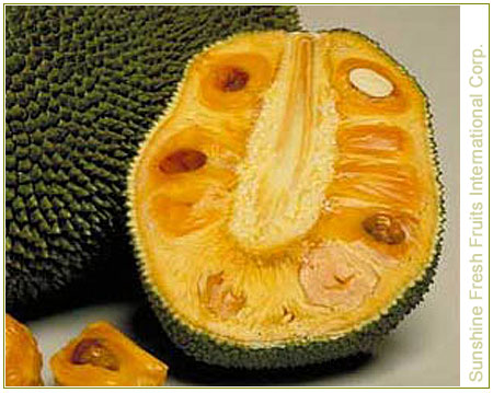 Jack Fruit